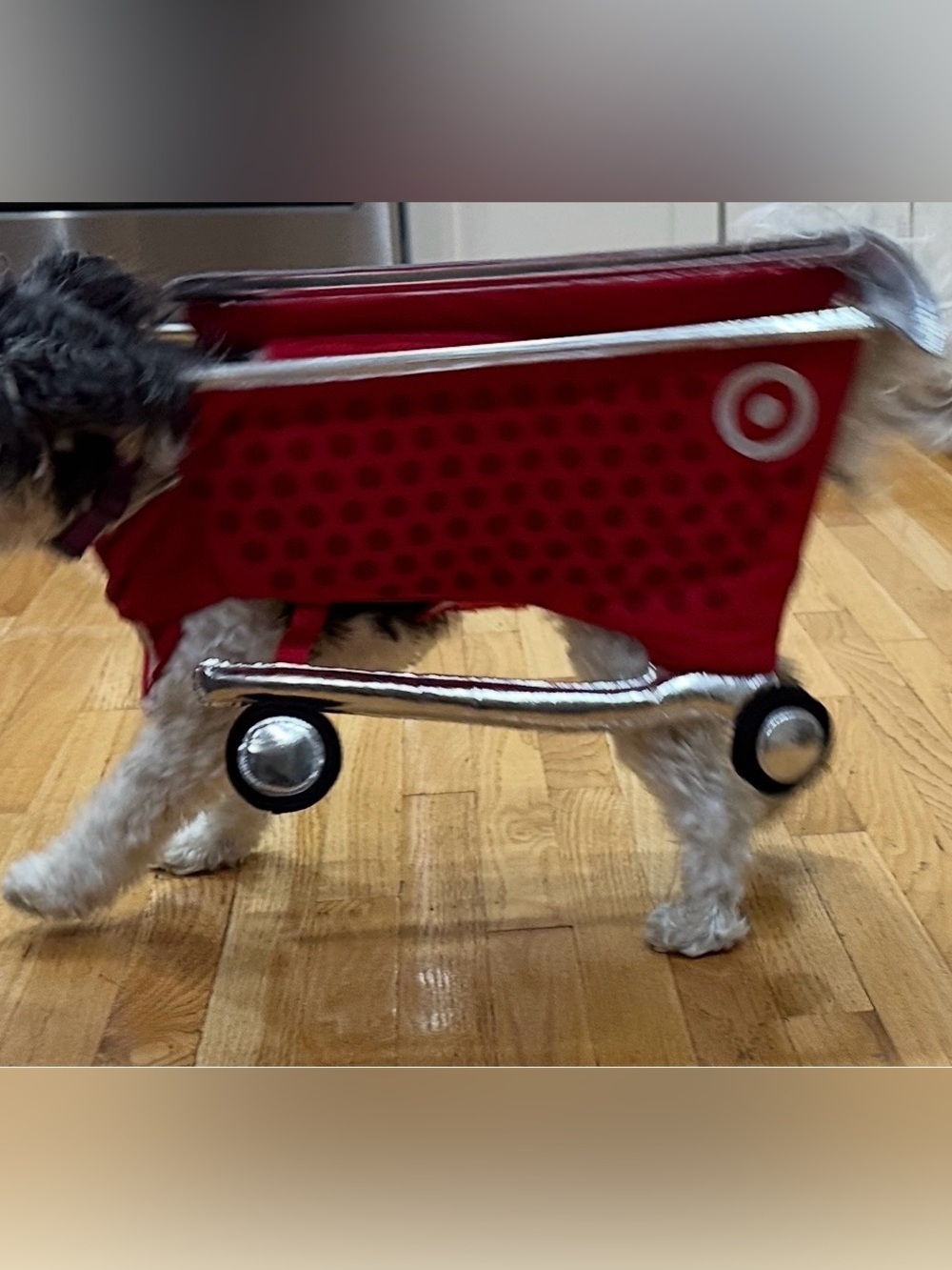 Target Dog Shopping Cart Costume